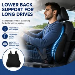 Car back support lumber