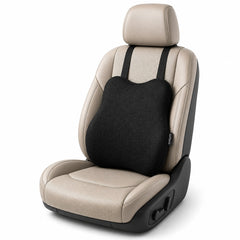 Car back support lumber