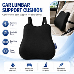 Car back support lumber